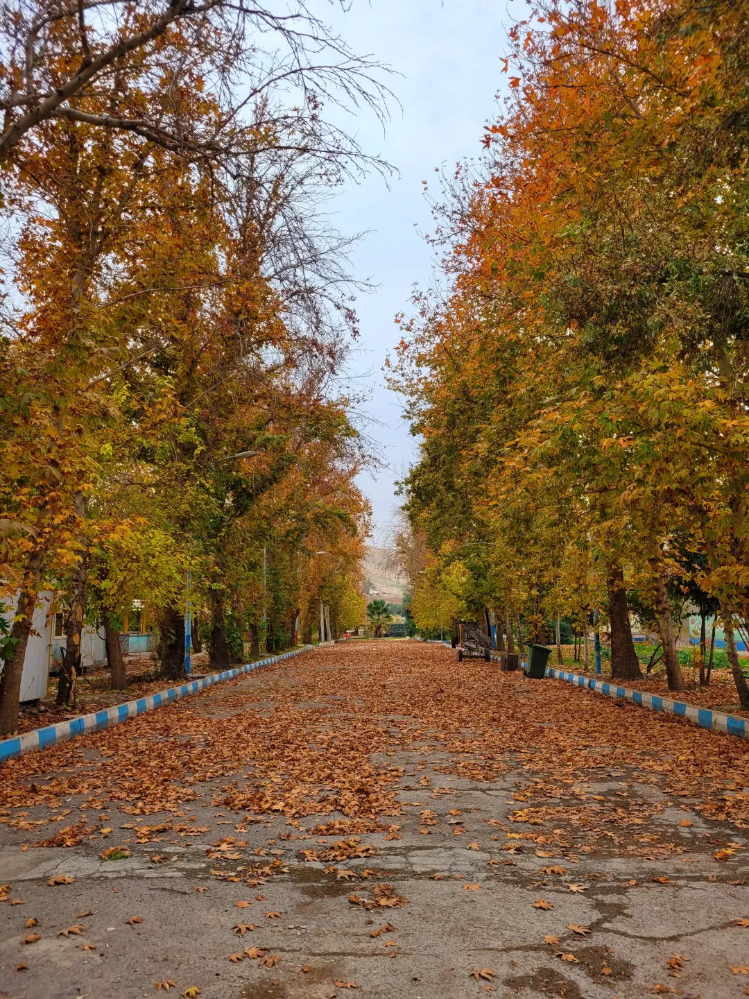 بکرترین تصاویر پاییزی در شهرستان مرزی ایران