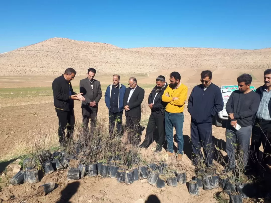 آغاز پویش مردمی کاشت نهال در اسلام‌آبادغرب