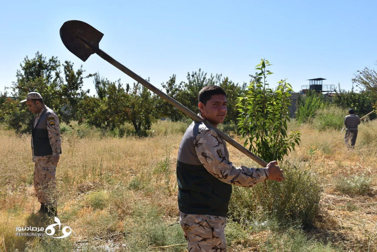 برگزاری پویش ملی «ایران سرسبز» در کرمانشاه