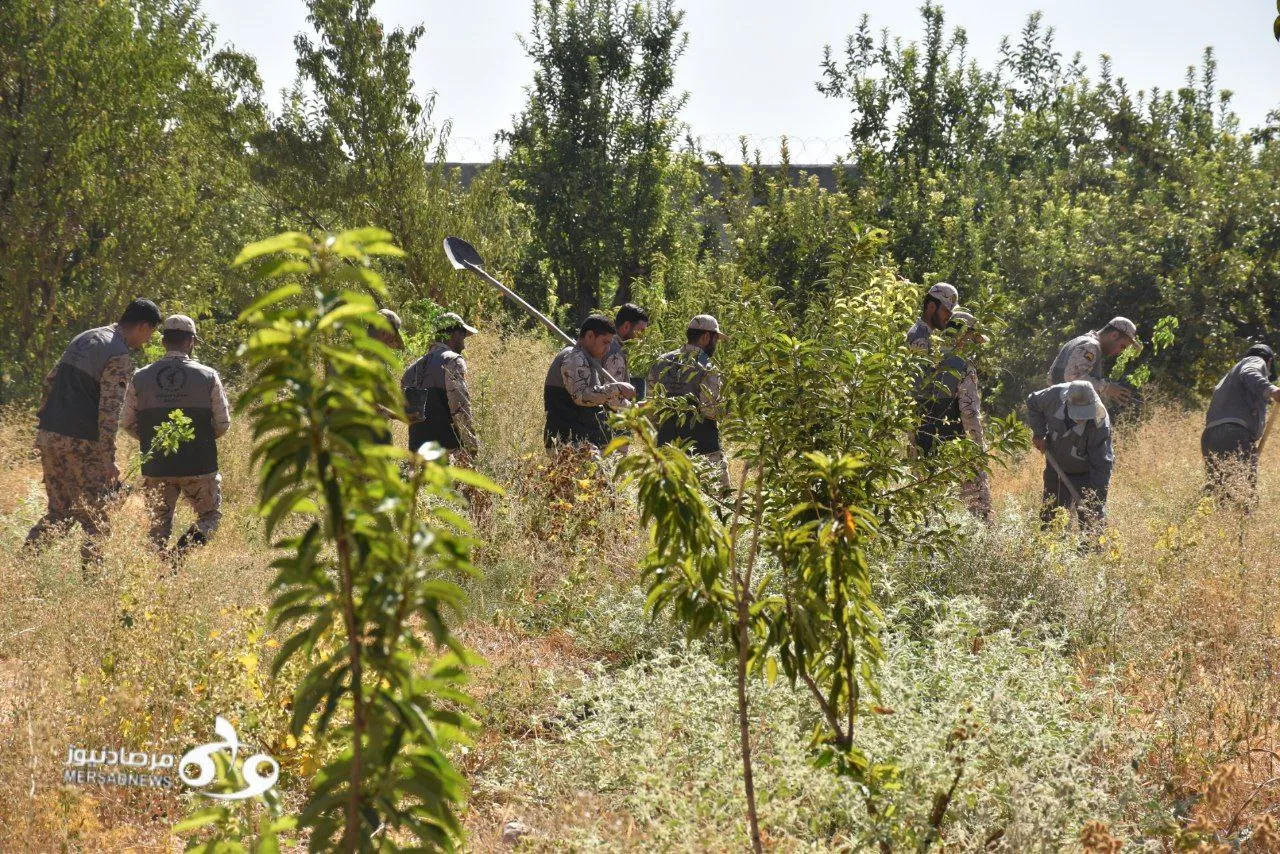 برگزاری پویش ملی «ایران سرسبز» در کرمانشاه