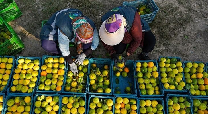 تولید ملی برای رفع محرومیت