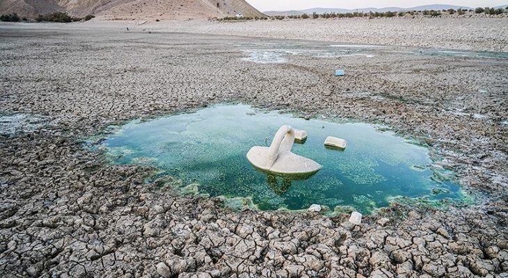 مرگ هزاران ماهی‌ در سد عبدل‌آباد بجنورد