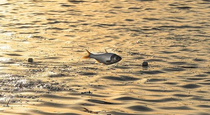 تولید برای محرومیت‌زدایی