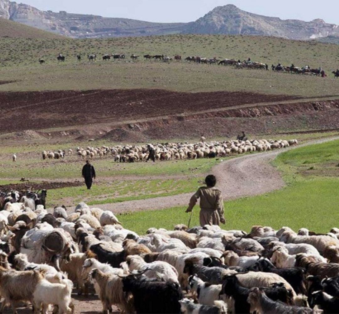 فریاد بی‌آبی عشایر کرمانشاهی