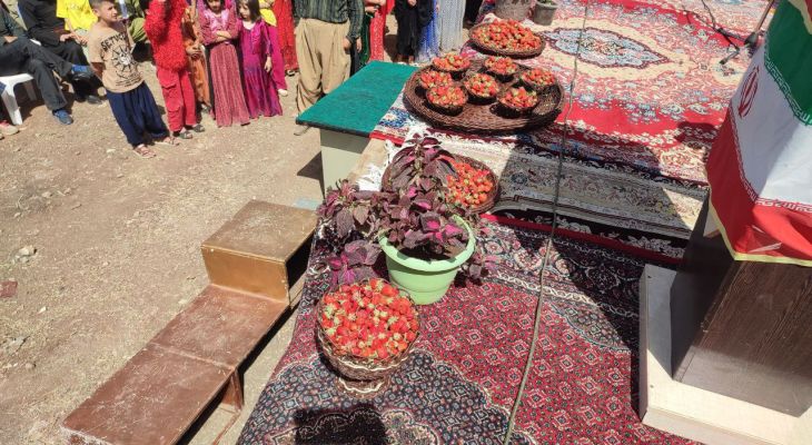 برگزاری جشنواره توت فرنگی در شهرستان روانسر