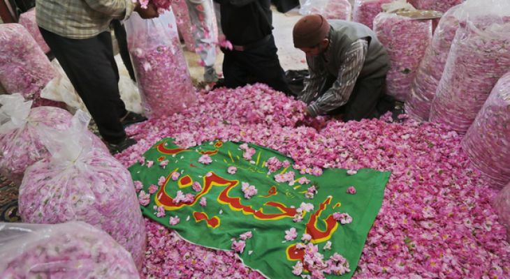 نذر گل برای امام حسین (ع)