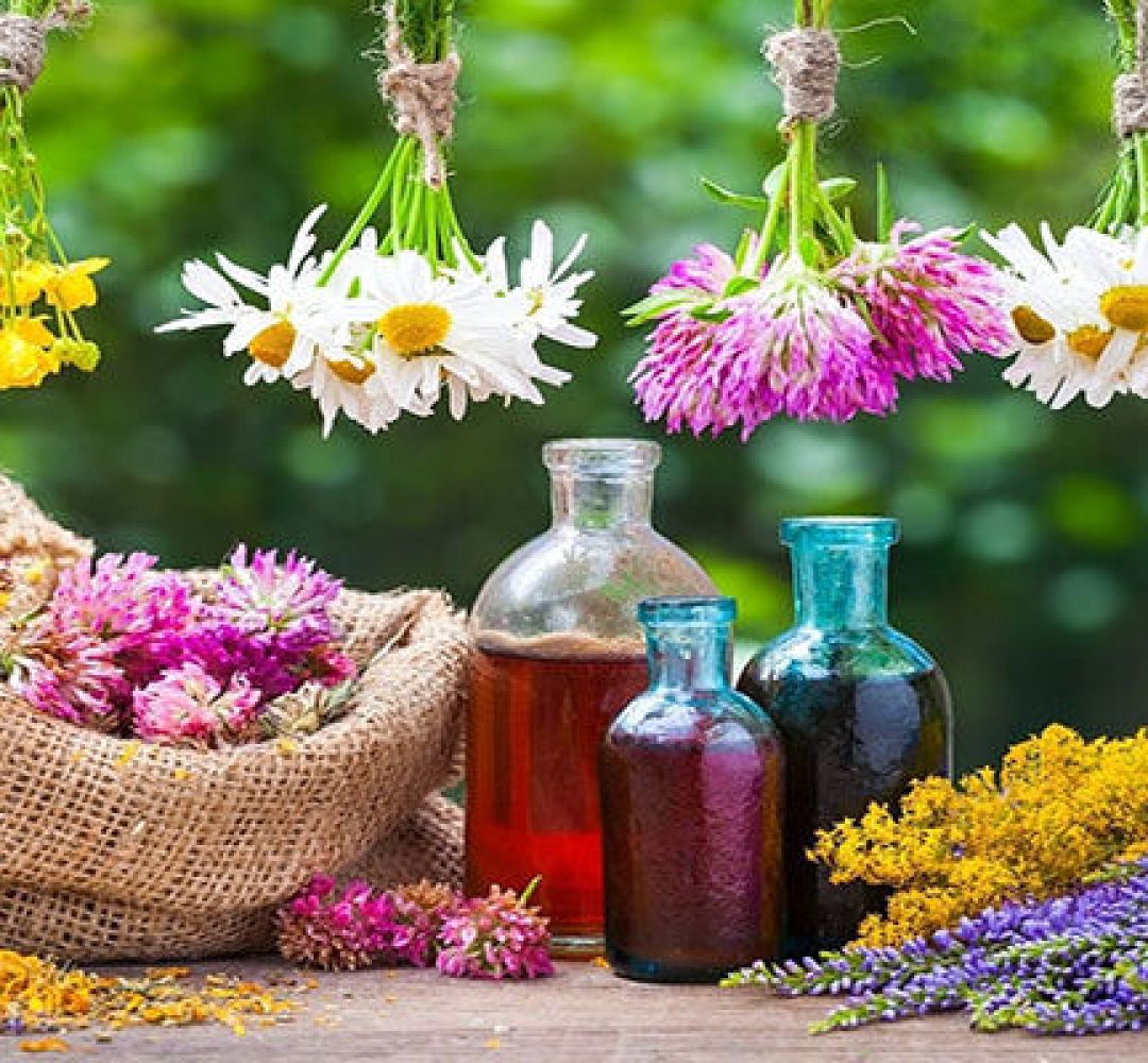 گیاهان دارویی ظرفیتی برای ایجاد اشتغال در کرمانشاه