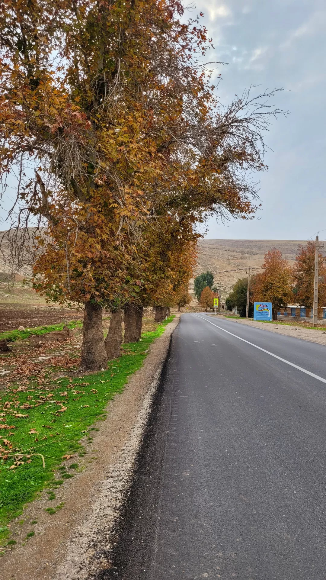 بکرترین تصاویر پاییزی در شهرستان مرزی ایران