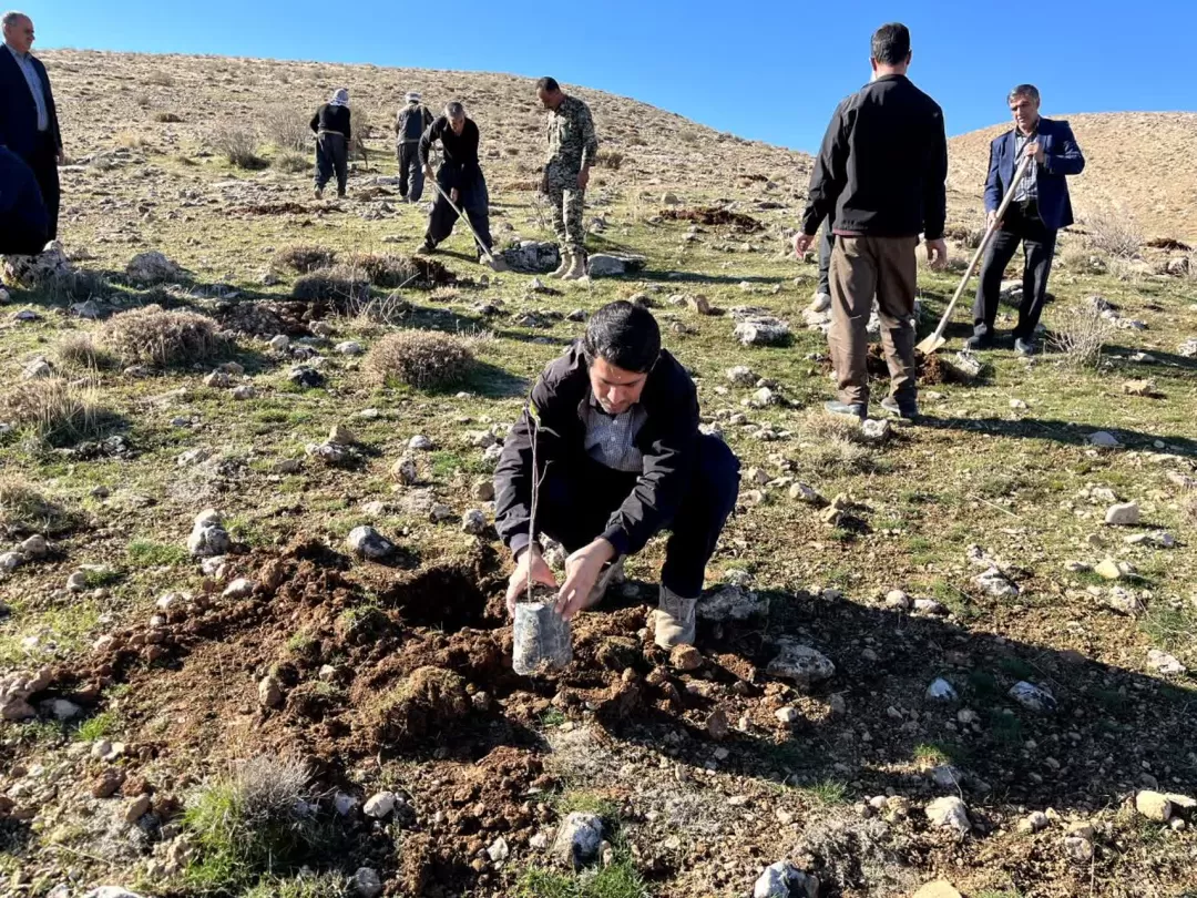 آغاز پویش مردمی کاشت نهال در اسلام‌آبادغرب