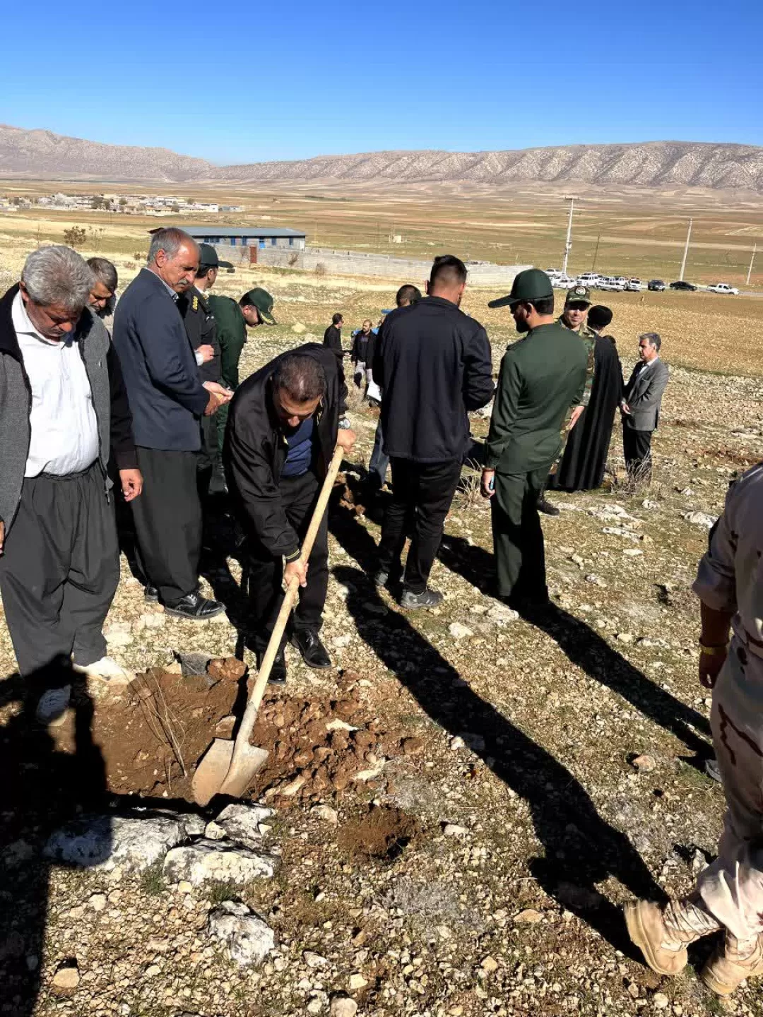 آغاز پویش مردمی کاشت نهال در اسلام‌آبادغرب