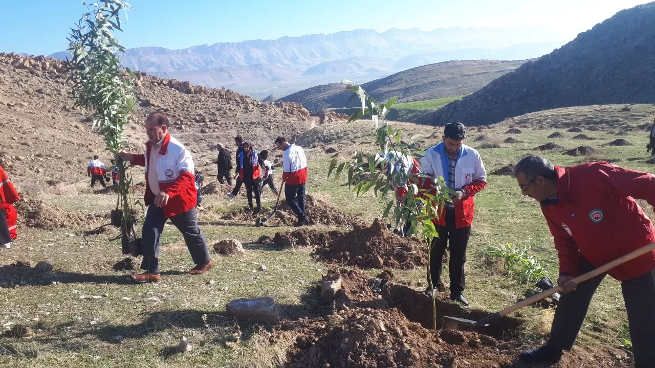 کاشت درخت در گیلانغرب به یاد شهدای کرمان