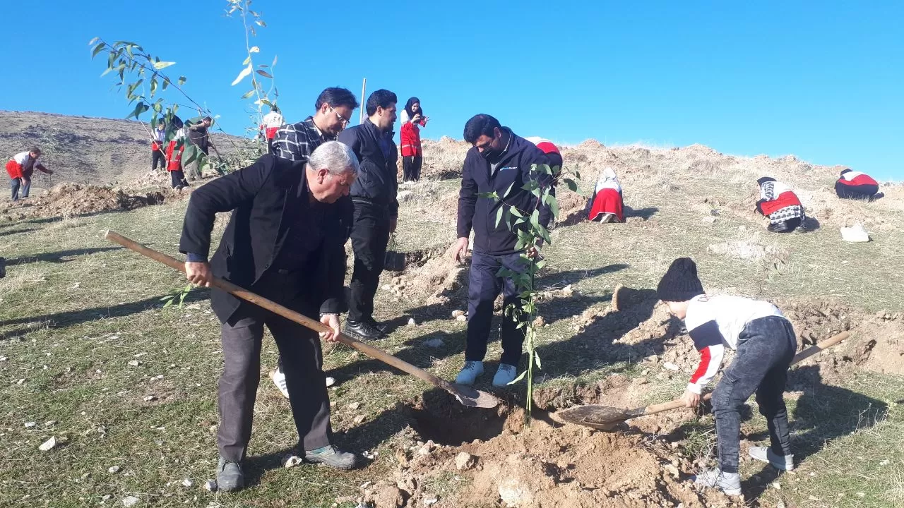 کاشت درخت در گیلانغرب به یاد شهدای کرمان