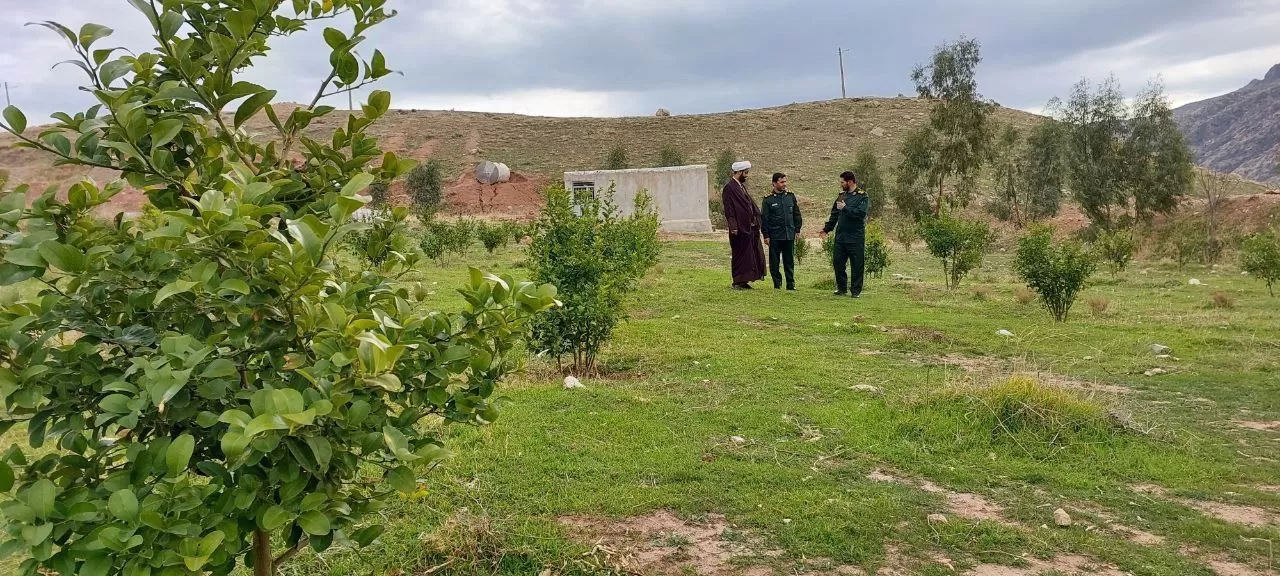 کاشت صدها اصله نهال بادام در پادگان گیلانغرب