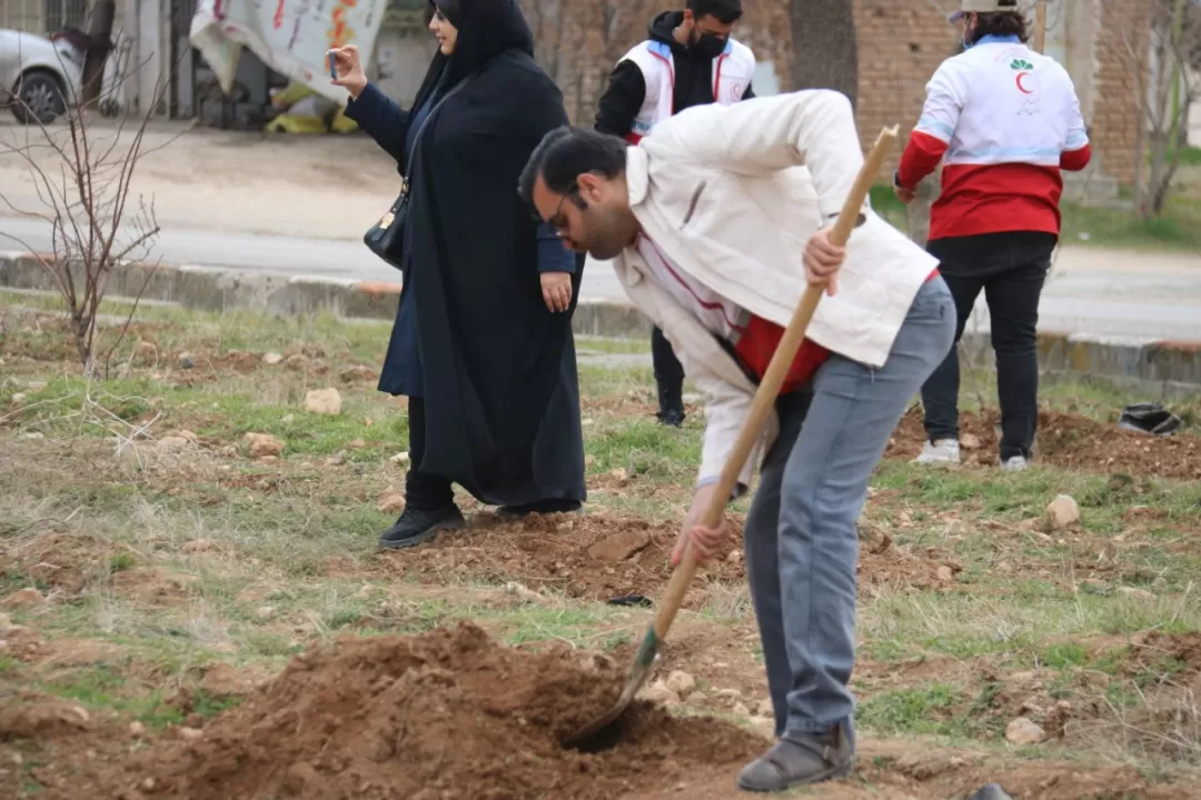 کاشت نهال در هوانیروز کرمانشاه به روایت تصویر