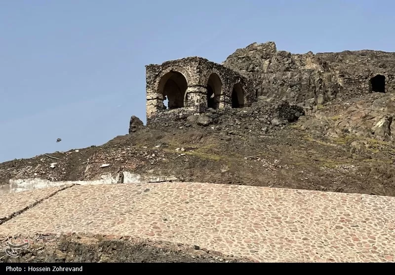 زیارت دوره زائران در مدینه منوره