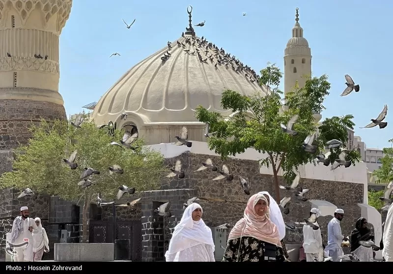 زیارت دوره زائران در مدینه منوره