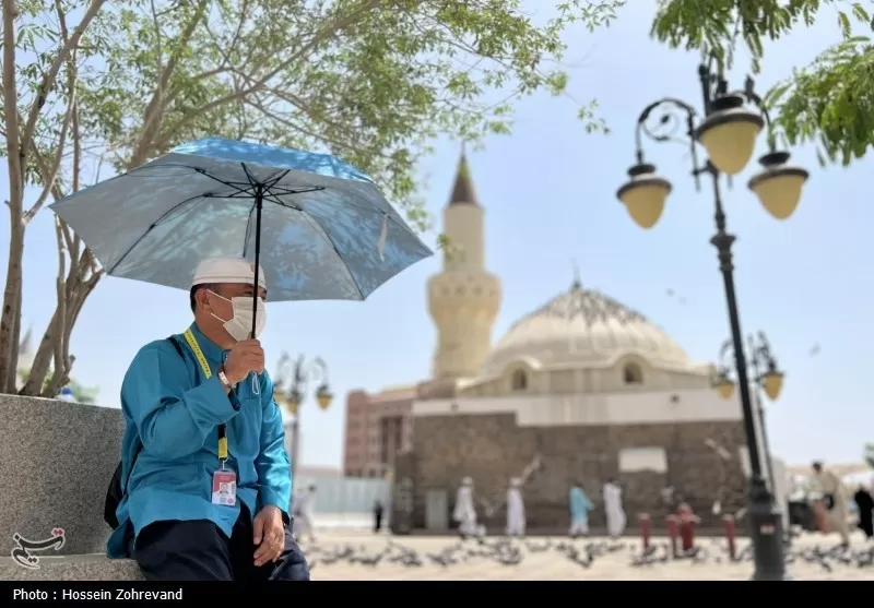 زیارت دوره زائران در مدینه منوره