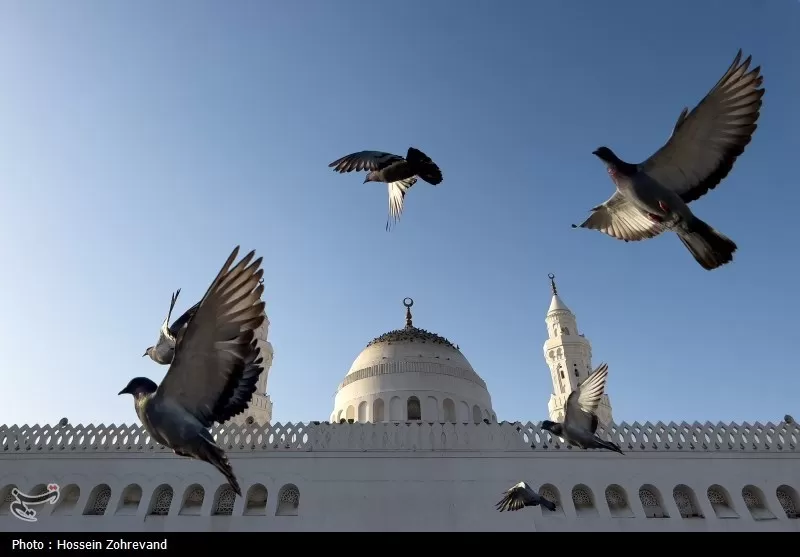 زیارت دوره زائران در مدینه منوره