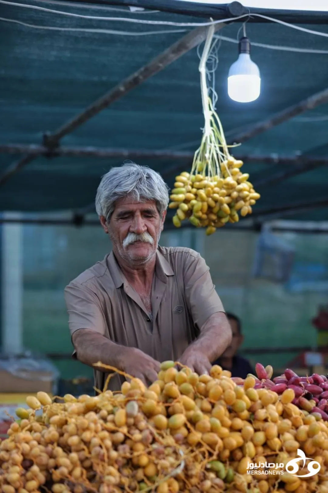 تصاویری از بازار خرمافروشان ورودی شهر قصرشیرین