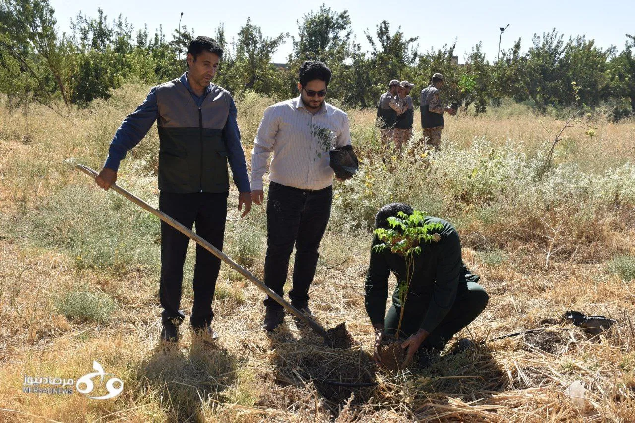 برگزاری پویش ملی «ایران سرسبز» در کرمانشاه